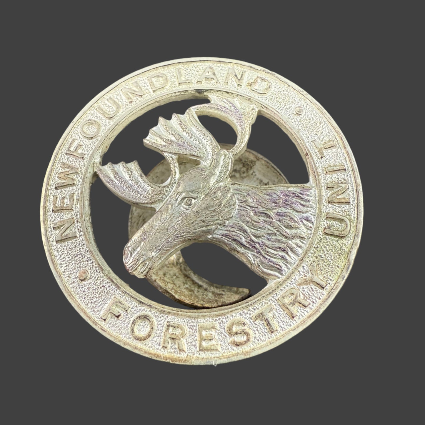 Canadian WWII - Newfoundland Forestry Unit Lapel Badge