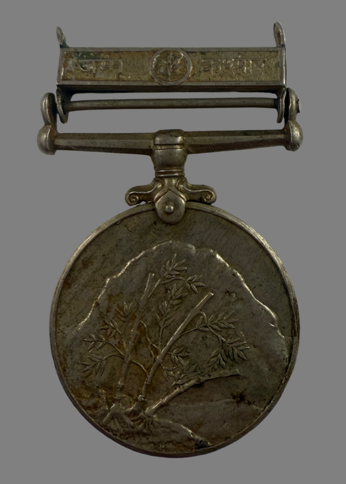India - Sainya Seva Medal - Jammu and Kashmir - Rajput Regiment
