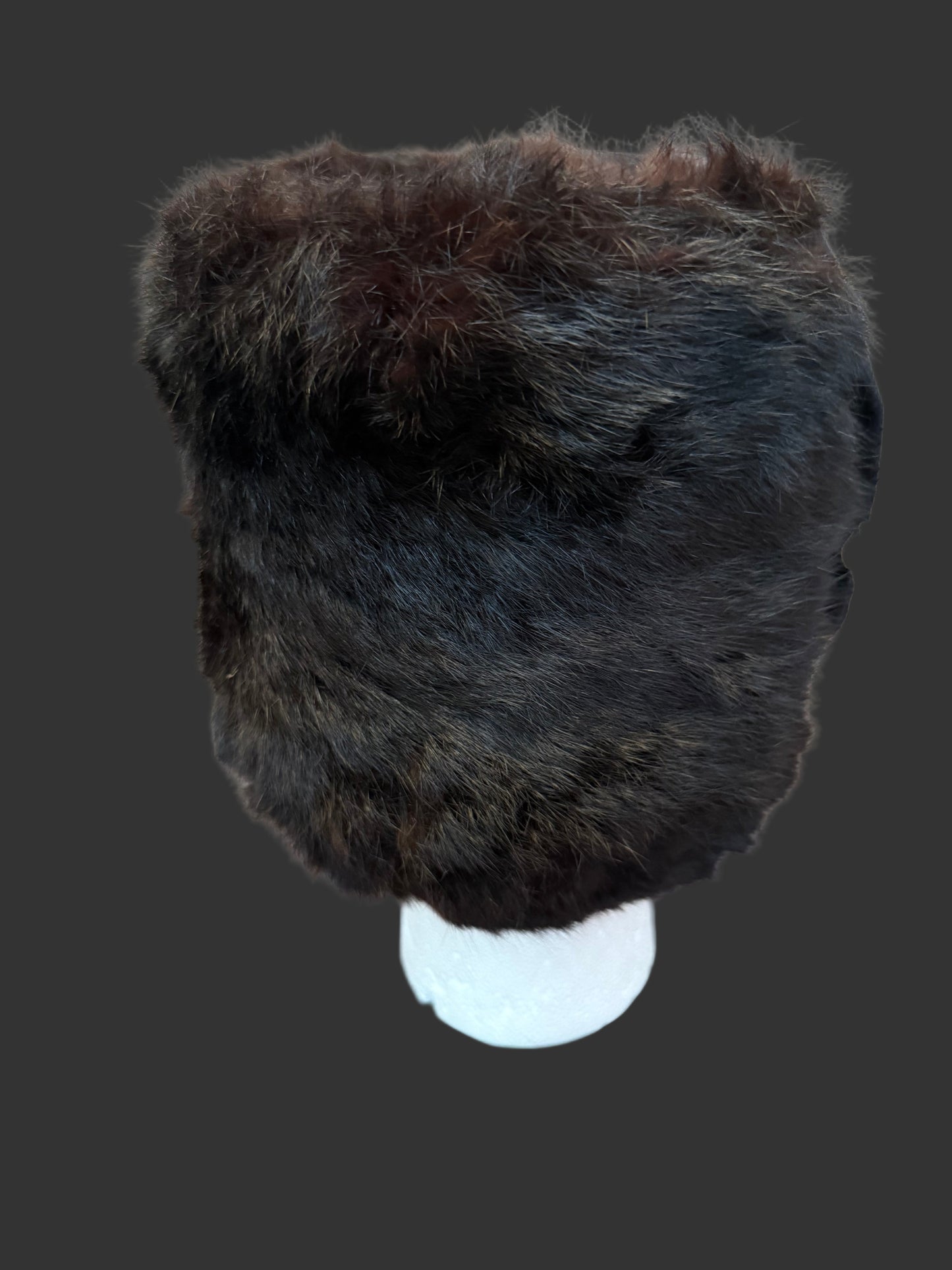 Canadian/British - WWII/post War - Royal Corps of Signals / Royal Canadian Corps of Signals - Bandsman Busby