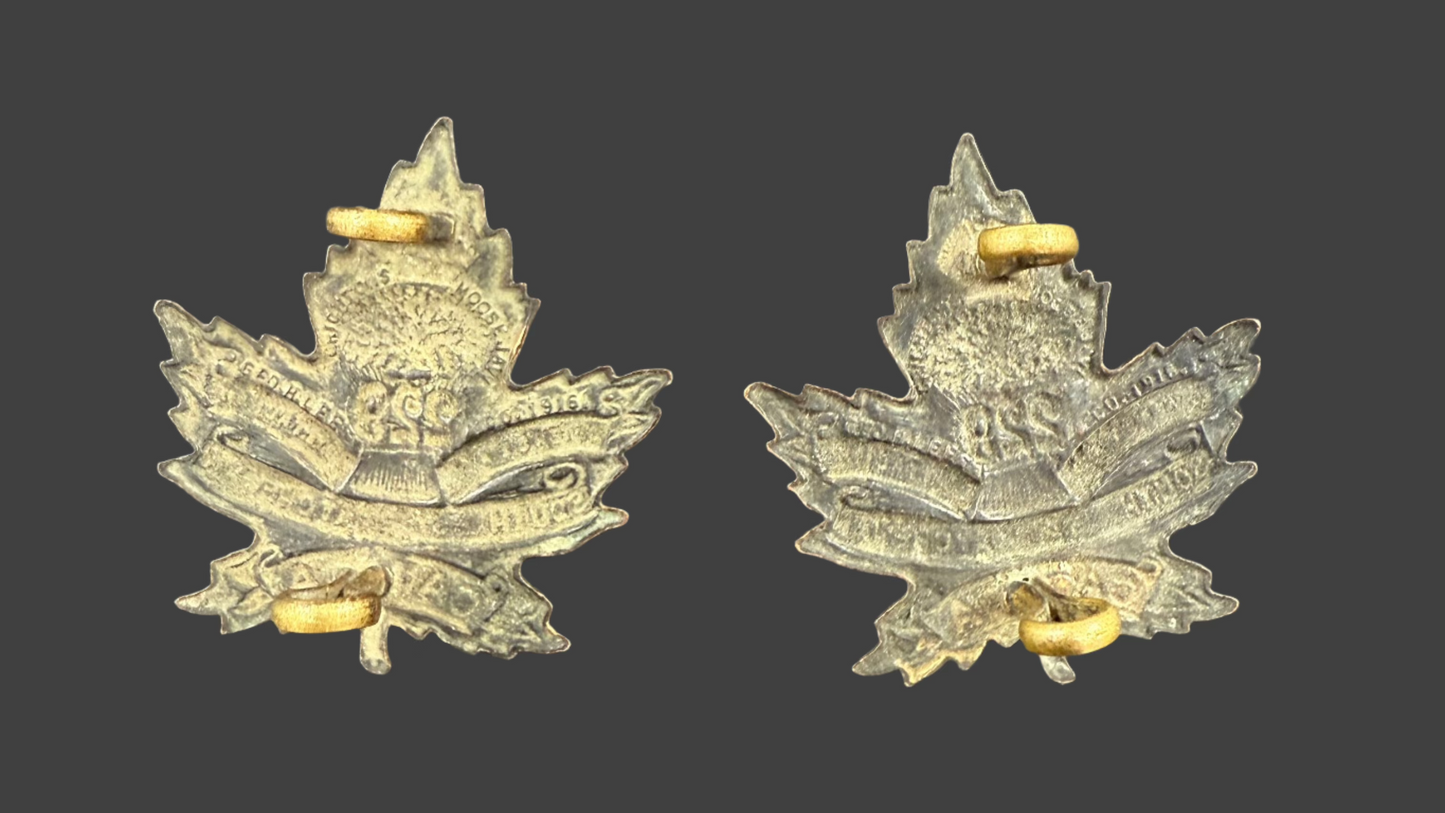 WWI - CEF Collar Badges - 229th Canadian Infantry Battalion (South Saskatchewan)