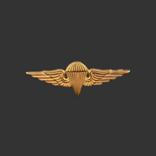 Iraq - post-WWII - Paratrooper Wings - Desert Storm Bring Back