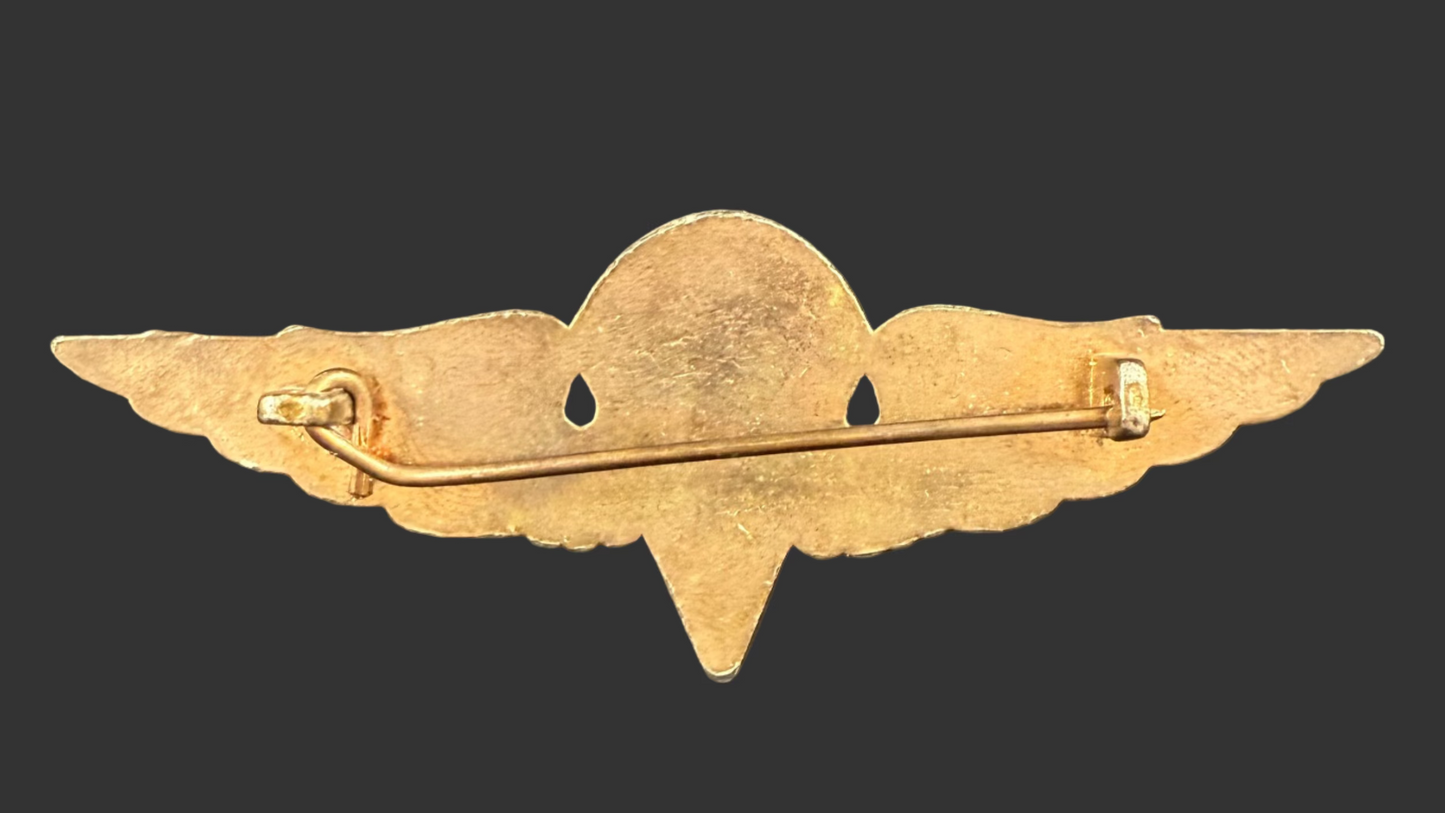 Iraq - post-WWII - Paratrooper Wings - Desert Storm Bring Back