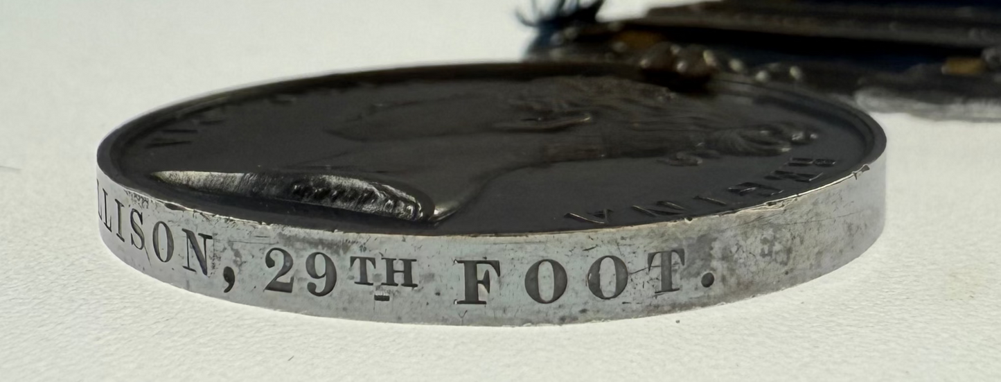 Victorian - Punjab Medal - 29th (Worcestershire) Regiment of Foot - Died - Allison
